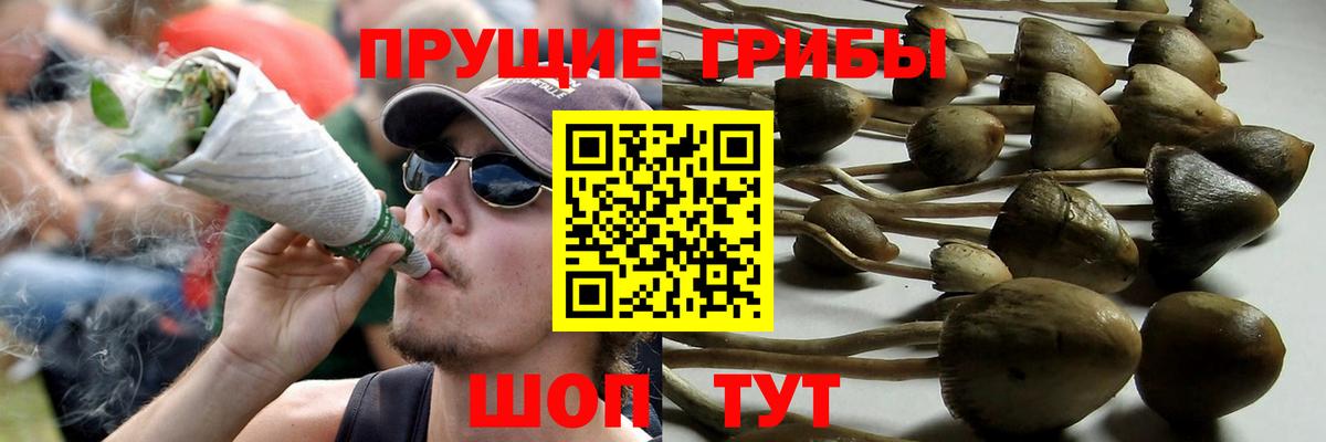 Псилоцибиновые грибы Cubensis  Вход с VPN  Похвистнево  Галлюциногенные грибы GOLDEN TEACHER 